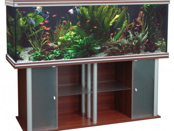 le choix des armoires design sous l'aquarium