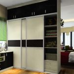 Grande armoire intégrée pour les zones de séparation dans un petit appartement