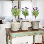 Une table sous les fleurs dans le salon dans le style provençal