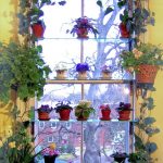 Étagères sur le rebord de la fenêtre pour les plantes à fleurs