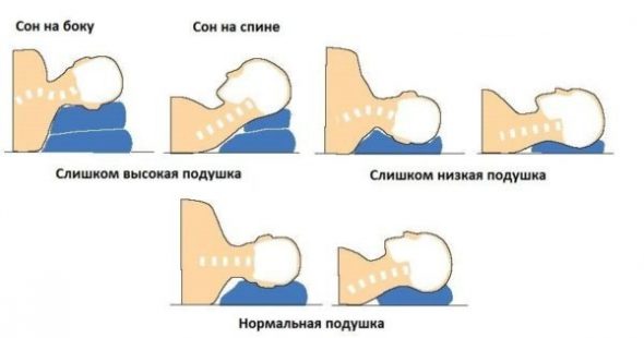 Position du cou