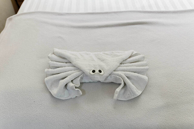 serviette de crabe