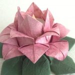 lotus d'idées de conception de serviettes