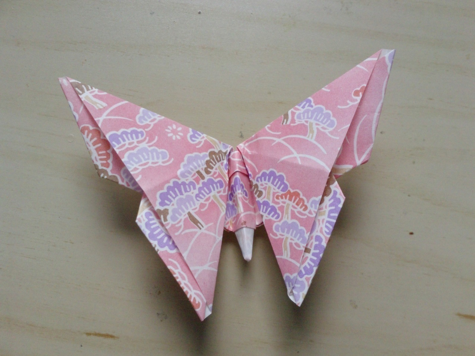photo papillon origami