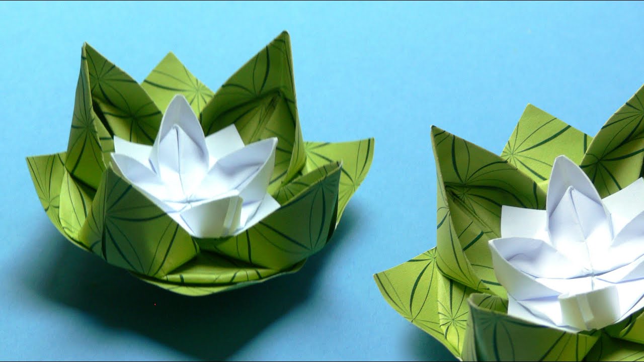 photo de nénuphar origami lis