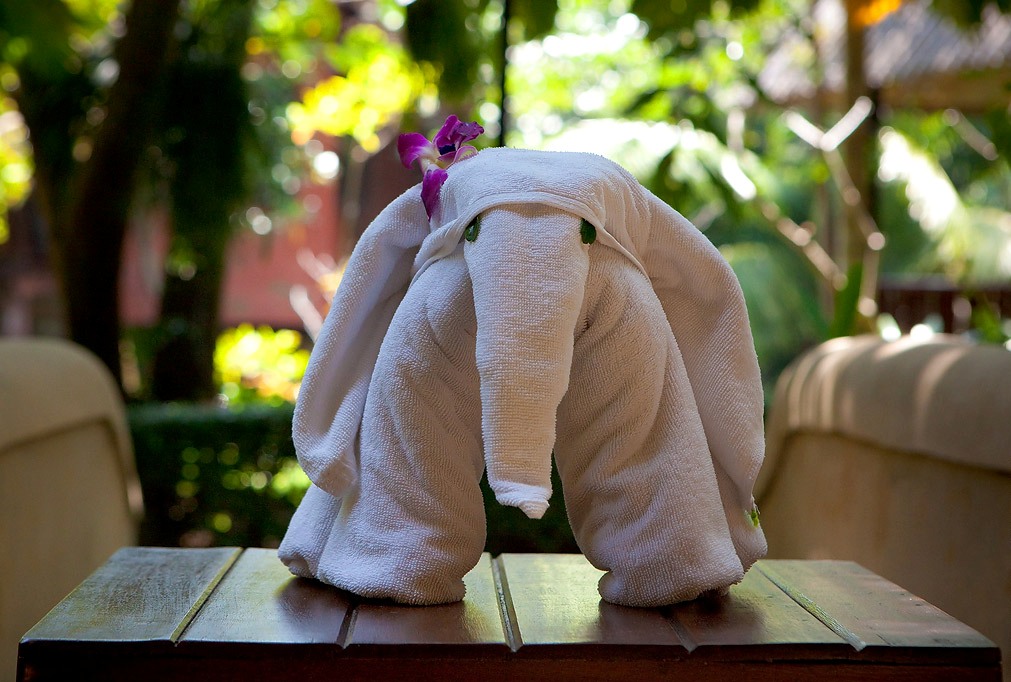 éléphant d'une serviette